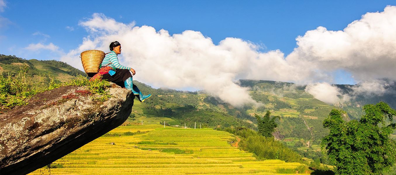 Slide câu hỏi thường gặp