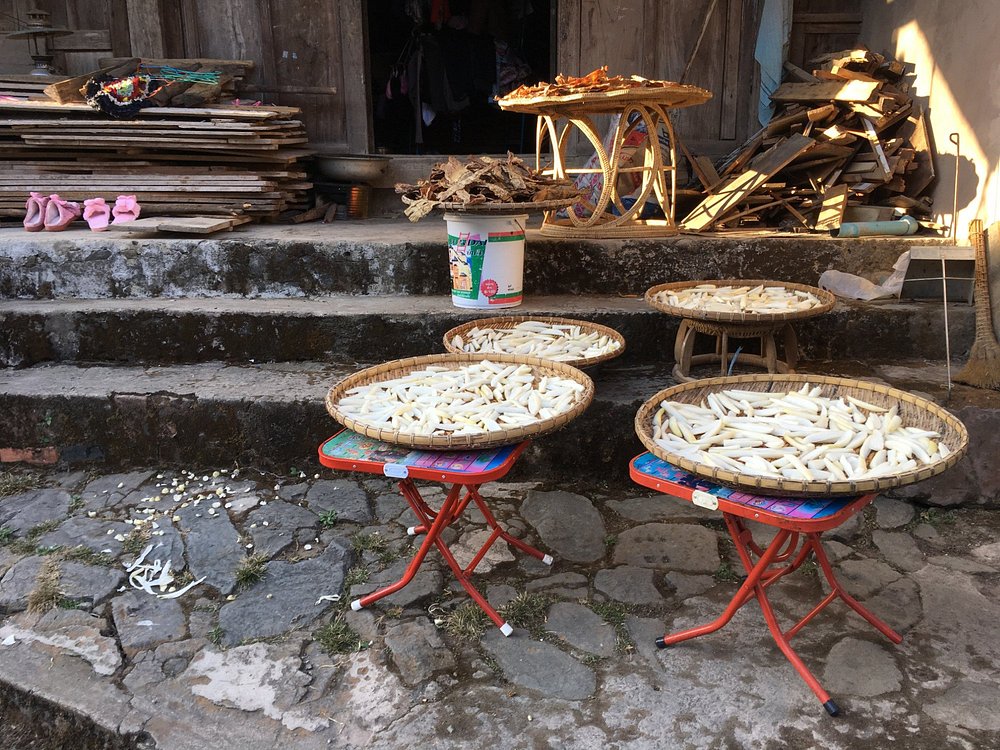 Phongsaly: GUIDE ULTIME d’un Laos hors des sentiers battus