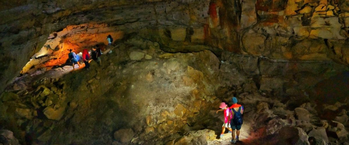 Top 4 des treks incontournables dans la forêt de Phu Quoc