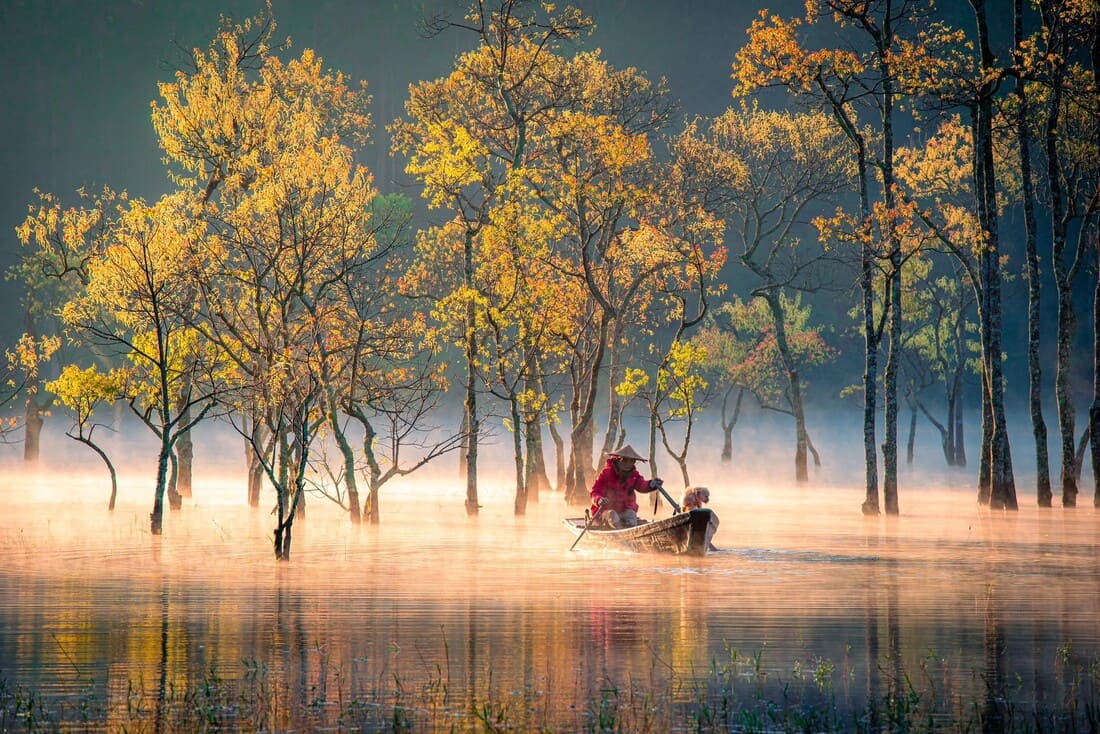 Suoi Tia – Un automne doré dans les hauts plateaux de Da Lat