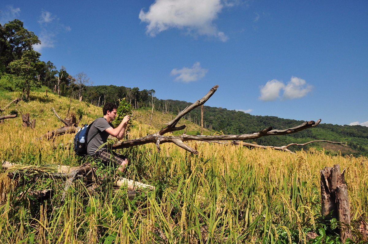 Luang Namtha, Laos : Guide authentique par agence locale