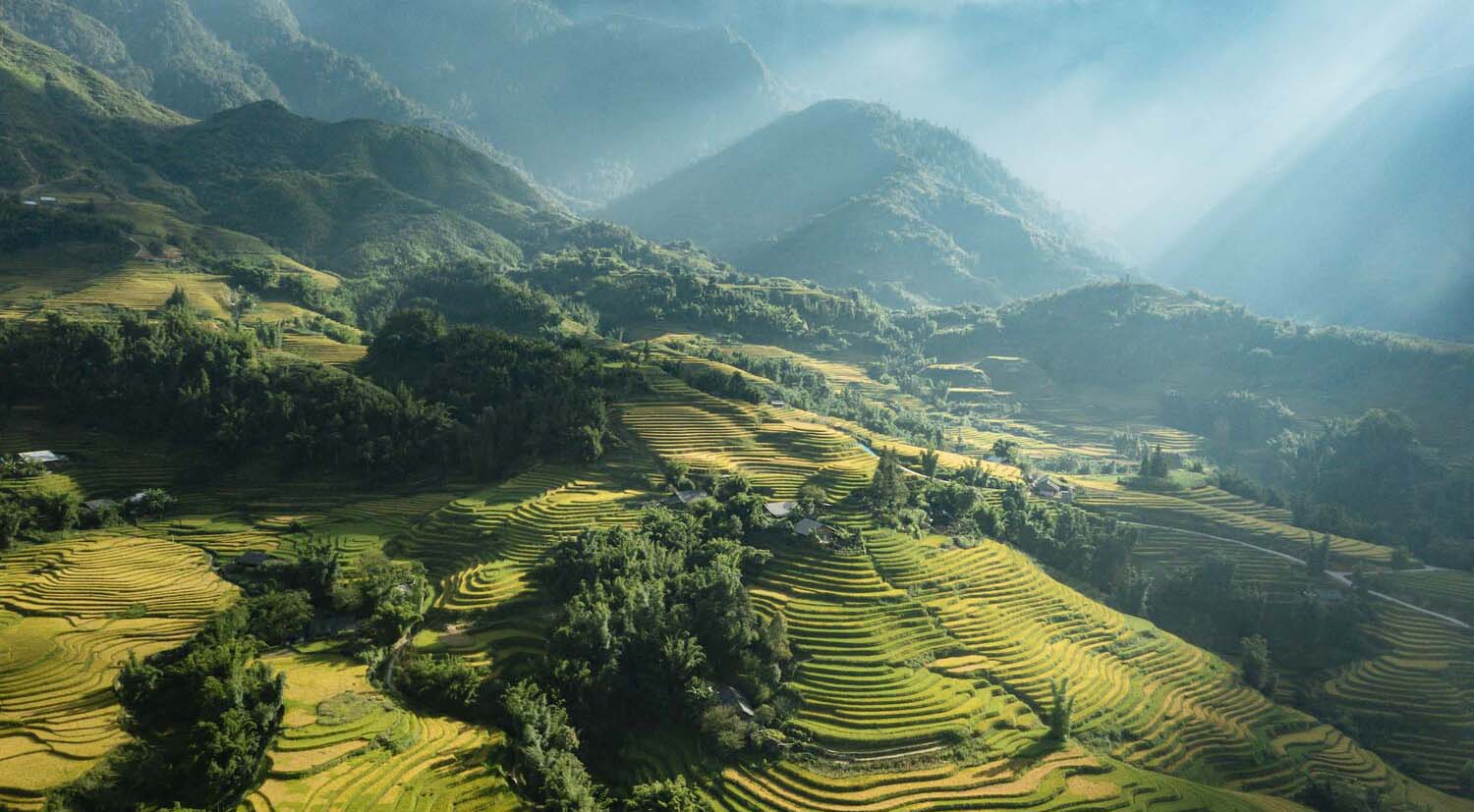 Top des meilleurs endroits pour découvrir les rizières au Vietnam