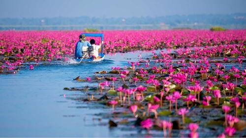 Udon Thani: 6 Questions Essentielles pour un Voyage Réussi