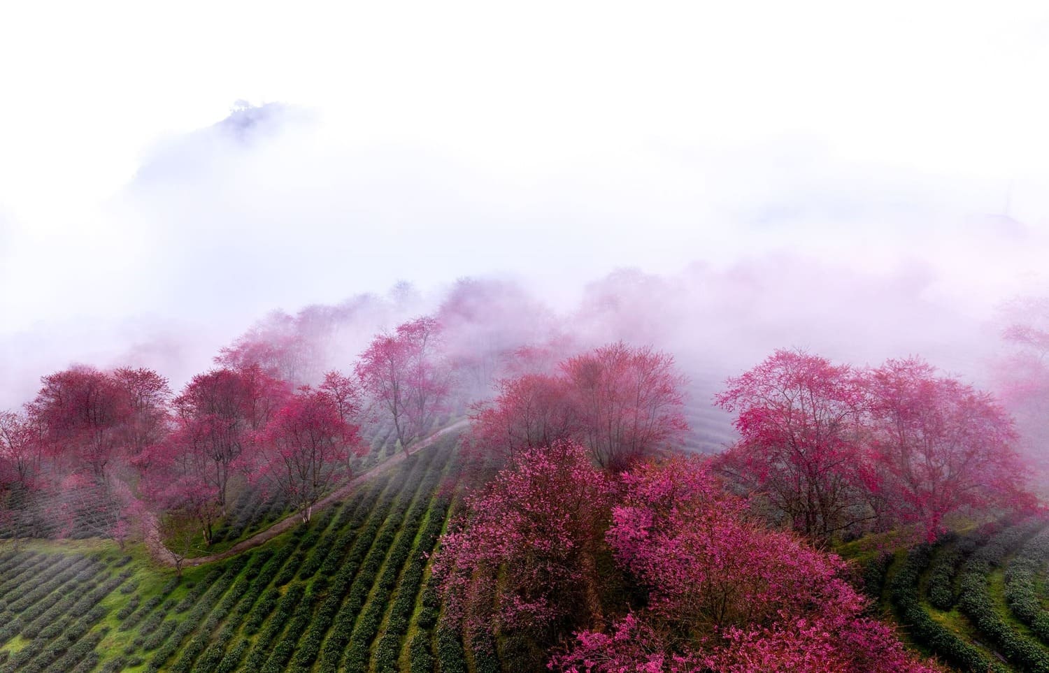 Vietnam du Nord en mars : que voir, que faire, à quoi s’attendre ?