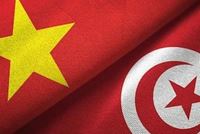 Voyage au Vietnam depuis la Tunisie : le guide pour un séjour sans faute !