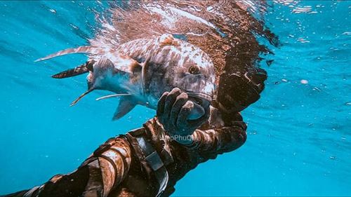 Plongée au Vietnam : Où faire les plus belles plongées ?