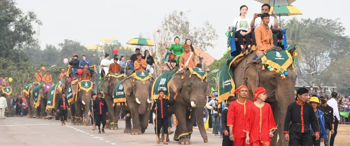 Laos : dates du Festival des Éléphants 2025 annoncées