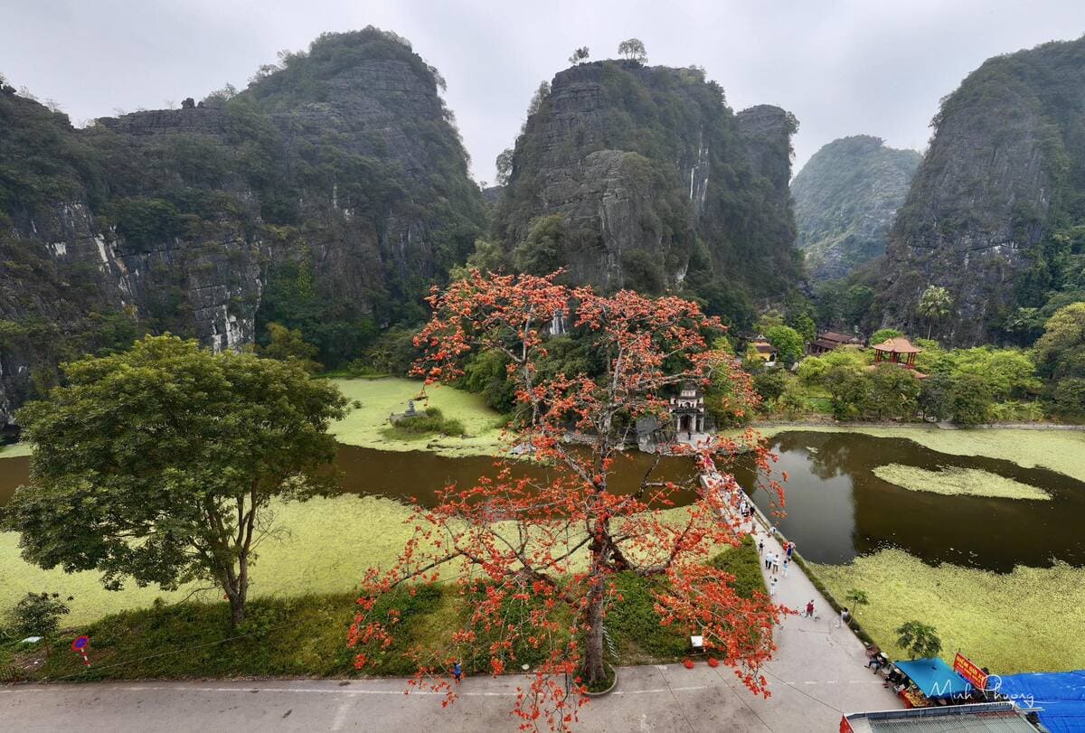 Pagode Bich Dong, lieu de spiritualité dans la baie d’Halong terrestre