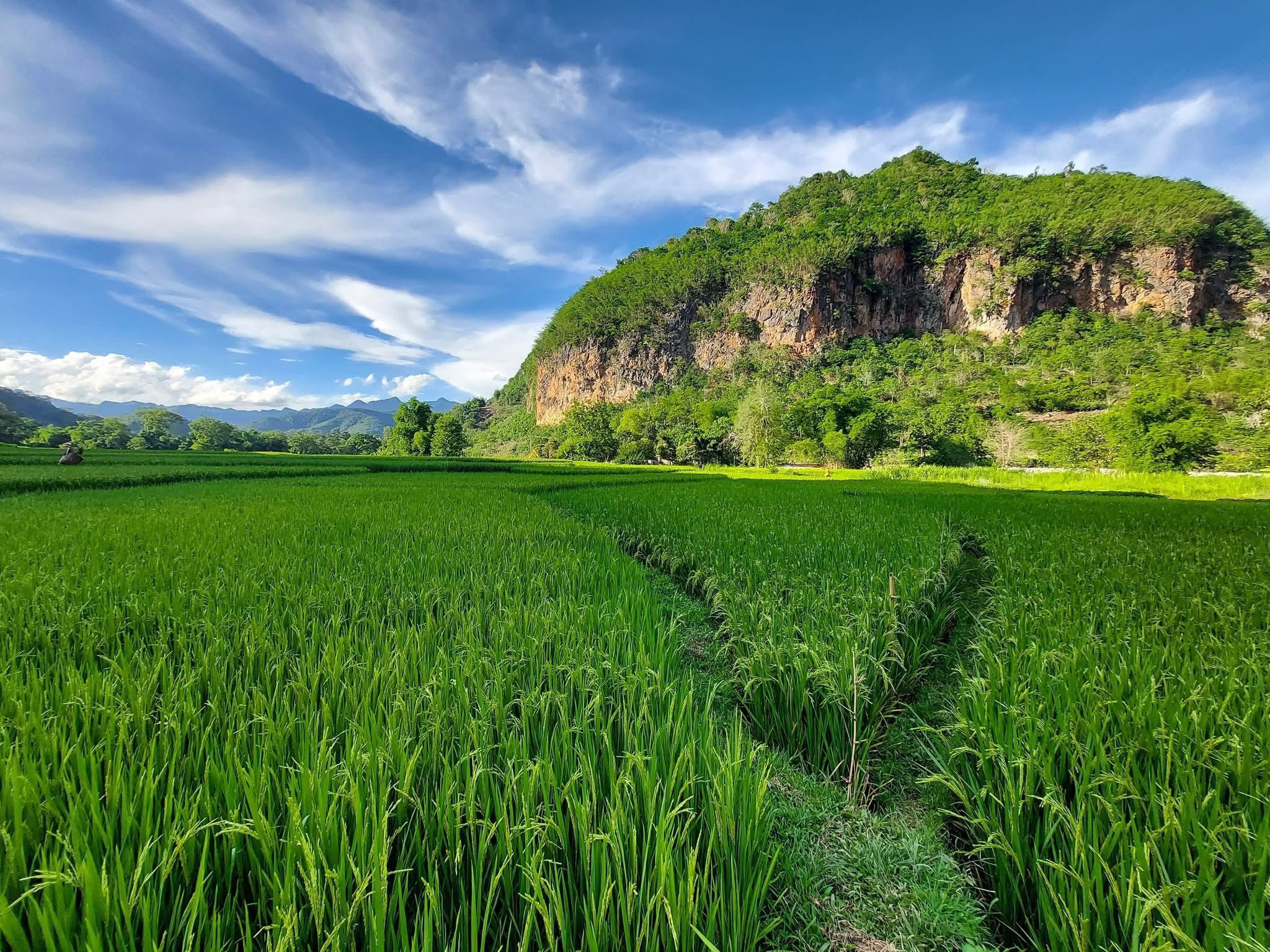 Mai Hich : un nouveau nom sur la carte du Nord du Vietnam