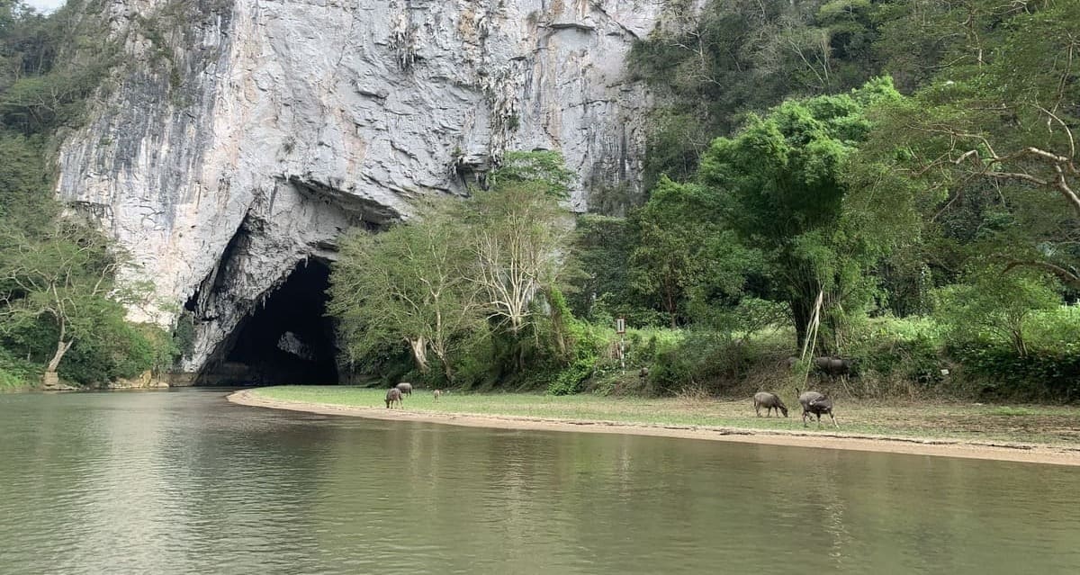 Lac Ba Be : Découvrir un authentique havre du Nord en 5 questions