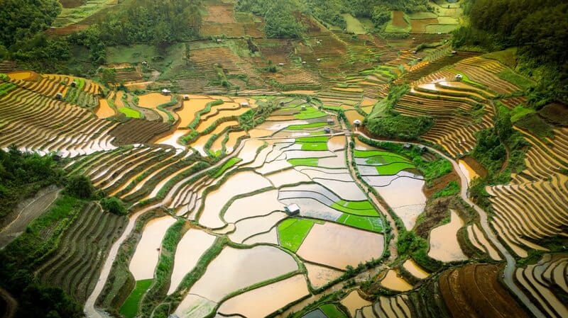 Que savez-vous du Vietnam ?
