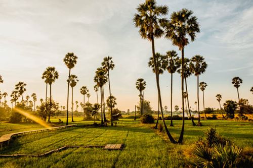 Que faire au Cambodge en 10 jours : mon récit et conseils pour organiser votre voyage