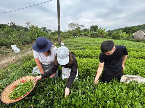 Thai Nguyen, la région aux meilleures collines de thé du Vietnam