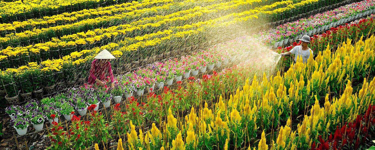 Visiter Sadec Vietnam : charmante petite ville coloniale au sud du Vietnam 