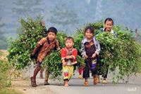 Itinéraire Vietnam 3 semaines - mon retour aux sources émouvant