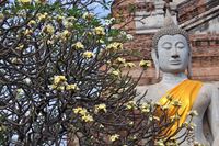 Ayutthaya en pratique : tout ce qu’il faut savoir pour préparer sa visite