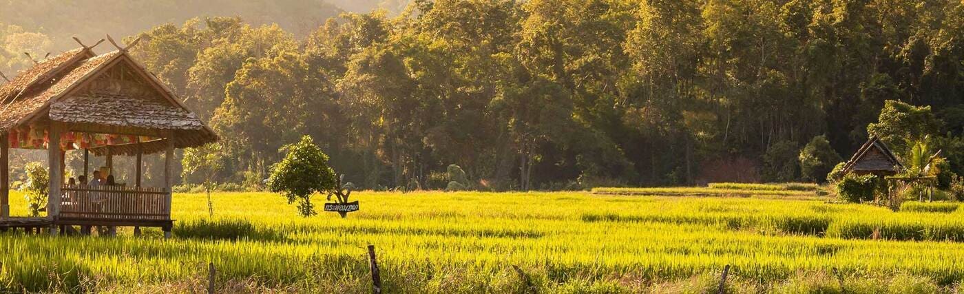 Nord de la Thaïlande : terre montagneuse, ethnies authentiques à ne pas rater
