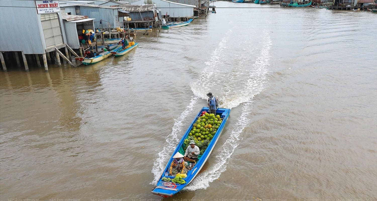 Delta du Mékong : Guide complet et faits intéressants à connaître
