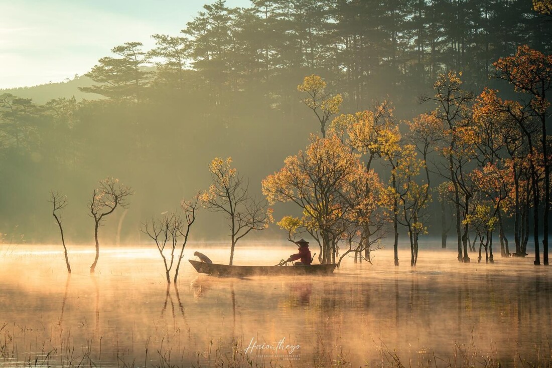 Suoi Tia – Un automne doré dans les hauts plateaux de Da Lat