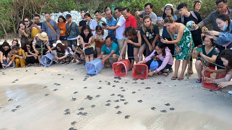 Con Dao, Vietnam
