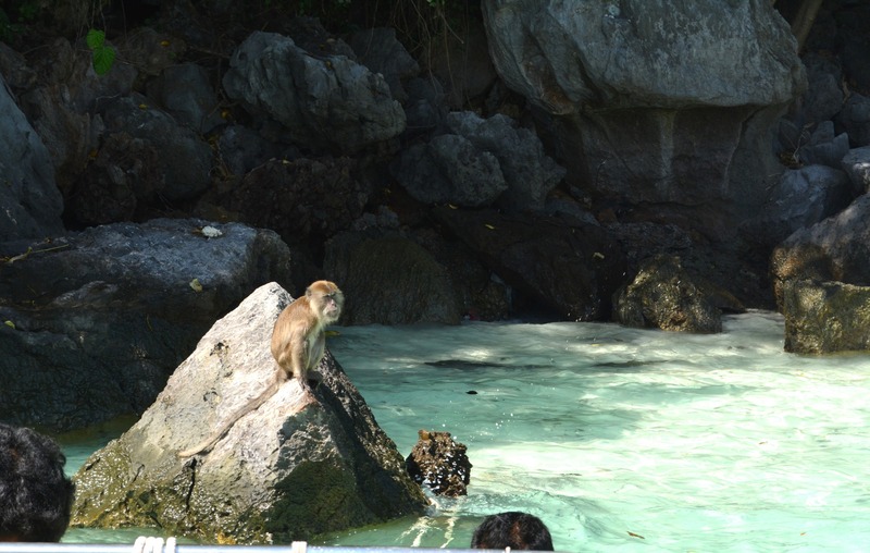 Koh Phi Phi Don