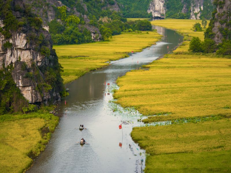 baie dhalong terrestre
