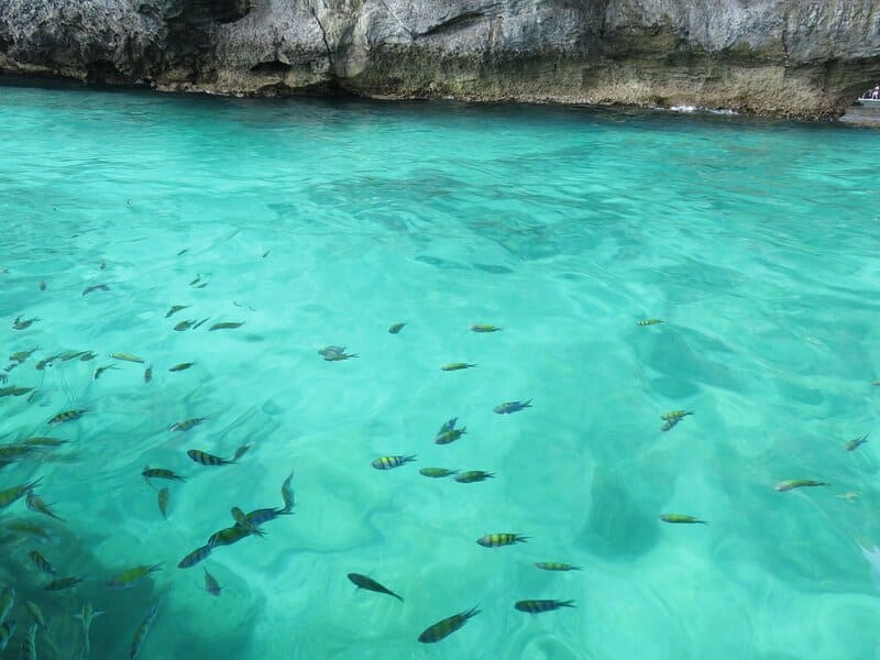 Koh Phi Phi