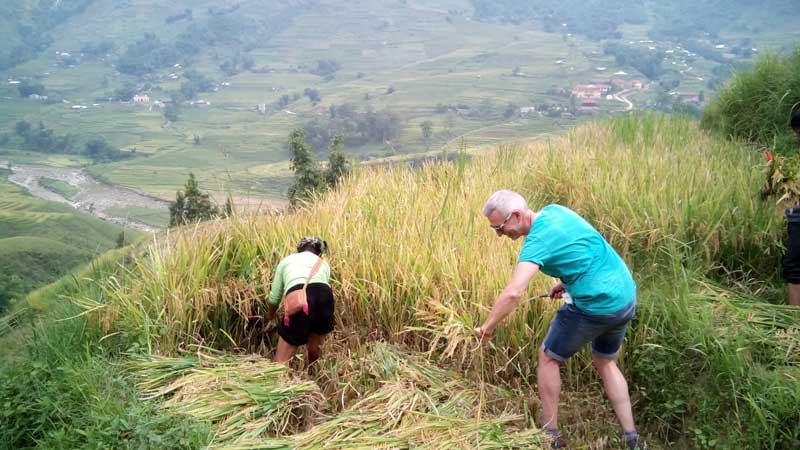 randonnee a sapa vietnam