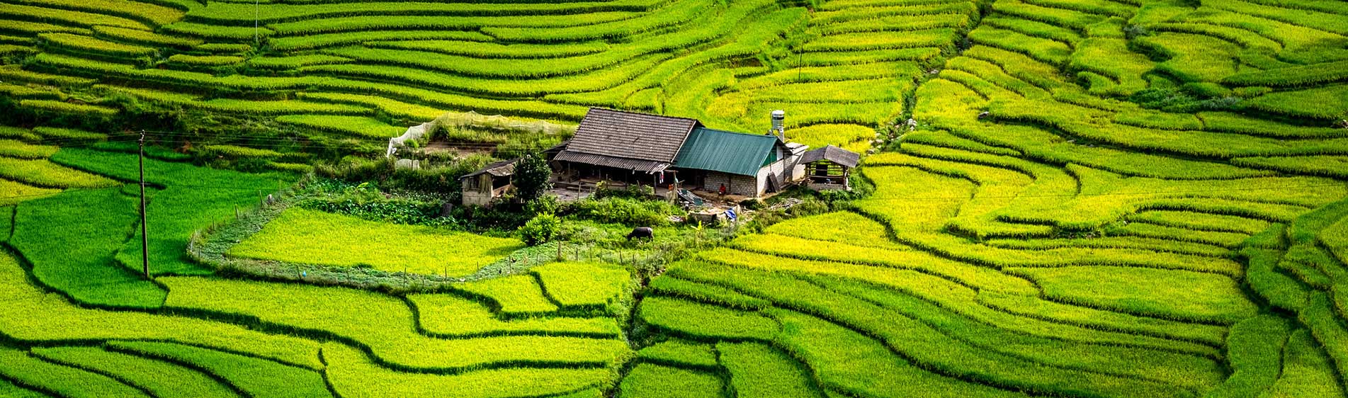 Quelle est la meilleure période pour partir découvrir le Nord Vietnam ?