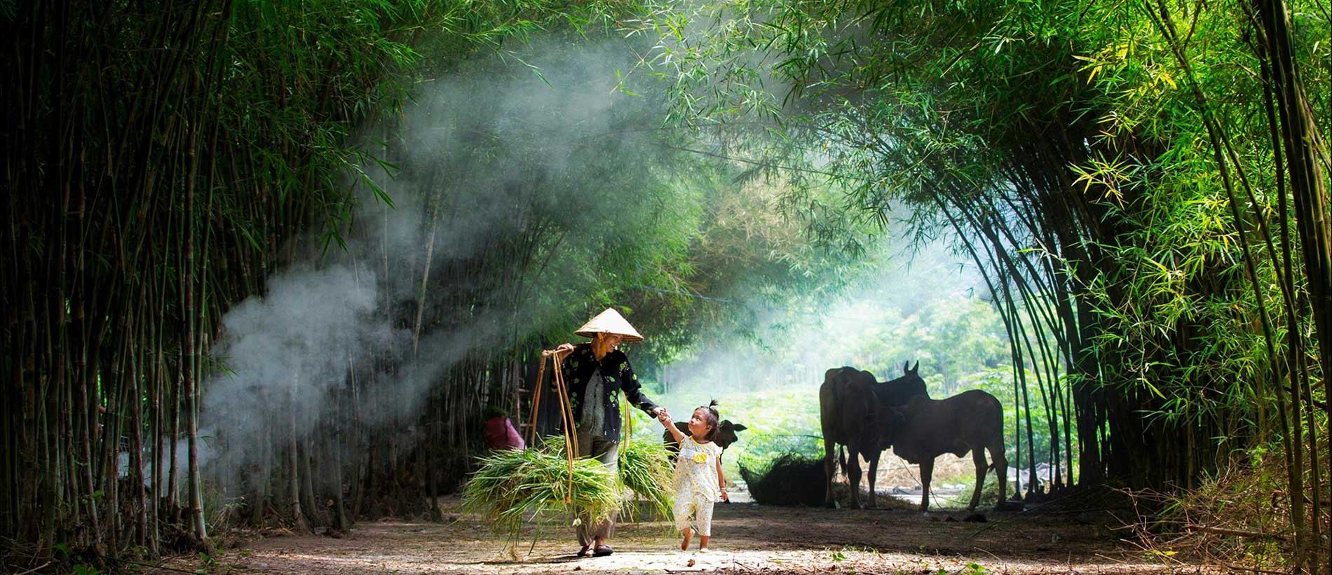 Vietnam 15 jours, comment organiser son voyage ?