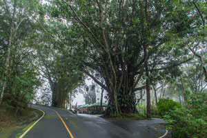 Parc national de Doi Suthep
