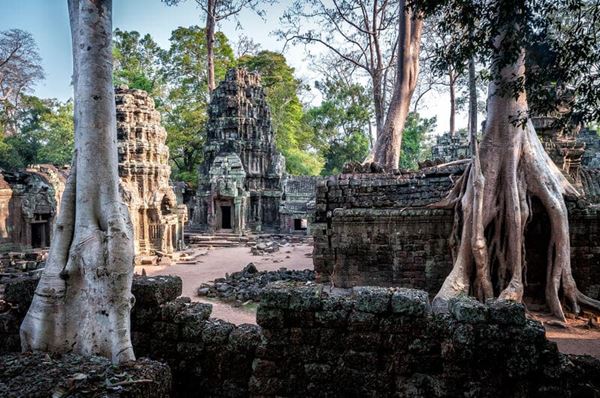 Le temple de Ta Prohm 7