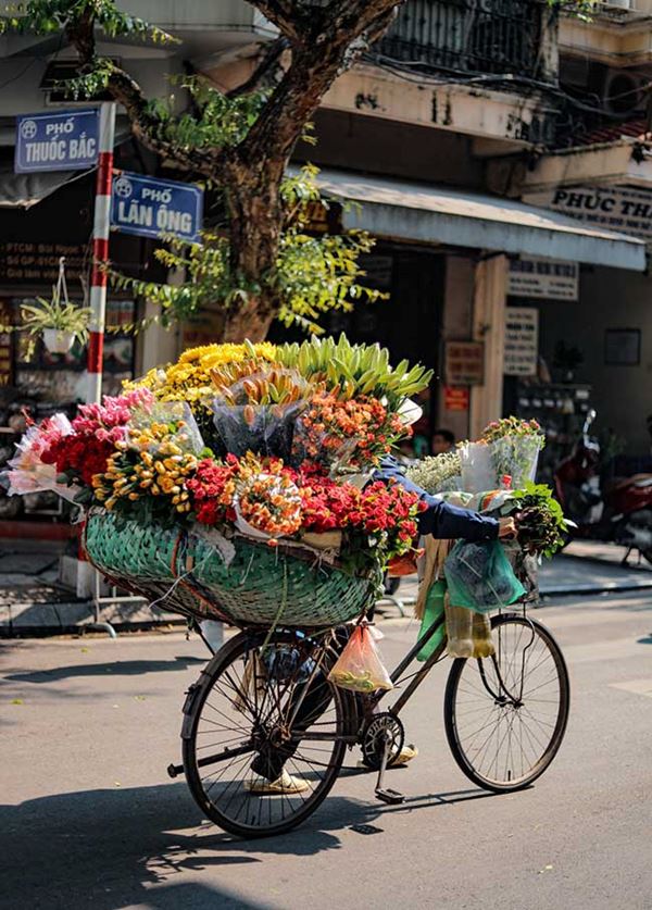 Une vendeuse ambulante de fleur à Hanoi 9