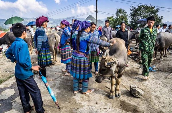 Un marché hebdomadaire à Bac Ha 7