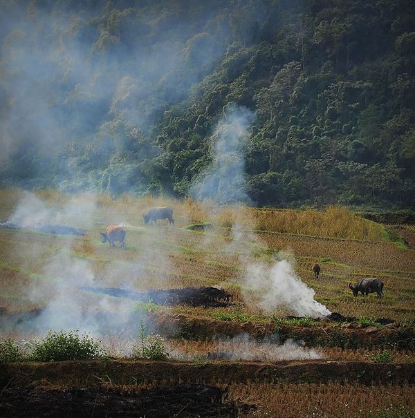 Des paysages paisibles à Bac Ha 7