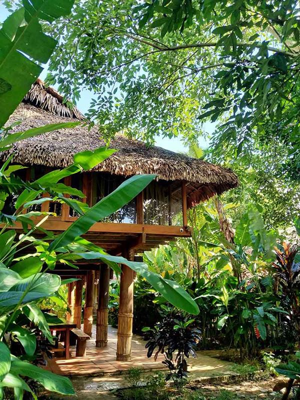 La végétation luxuriante dans un petit lodge à Pu Luong 4