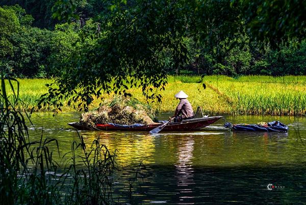 Paysages de la baie d'halong terrestre Ninh Binh  13